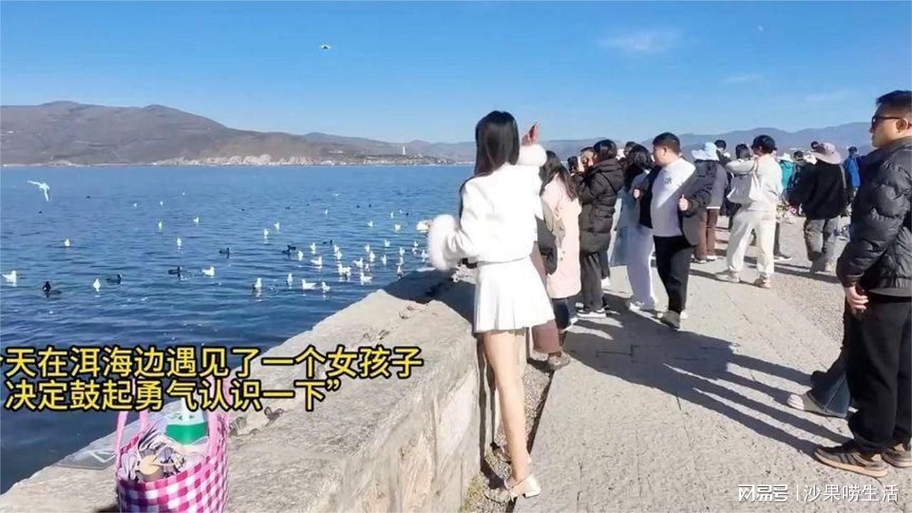 图