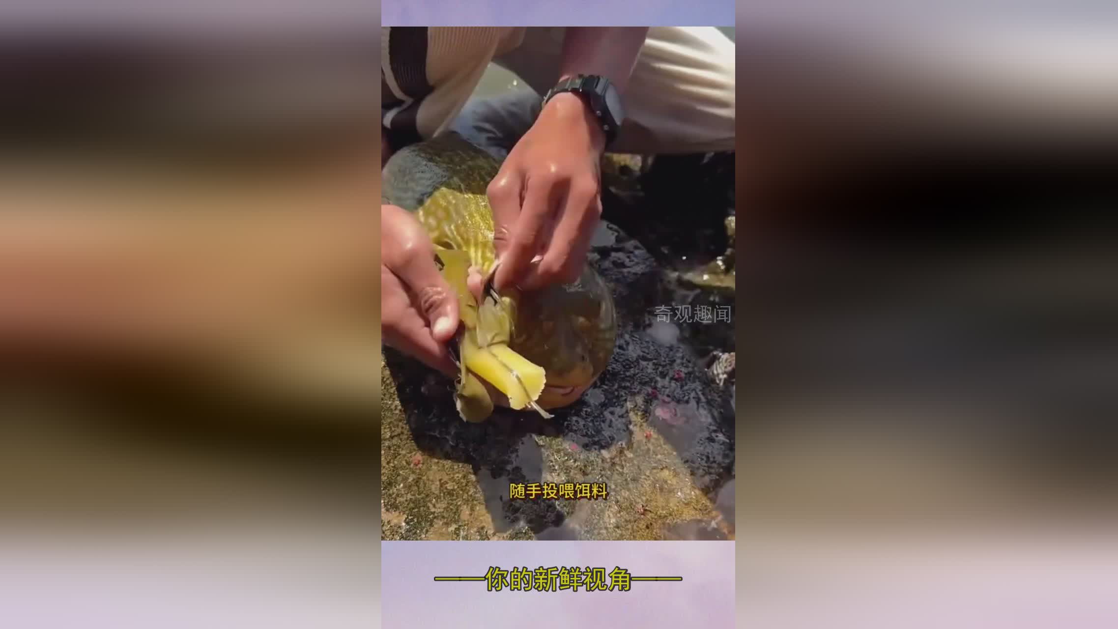 图