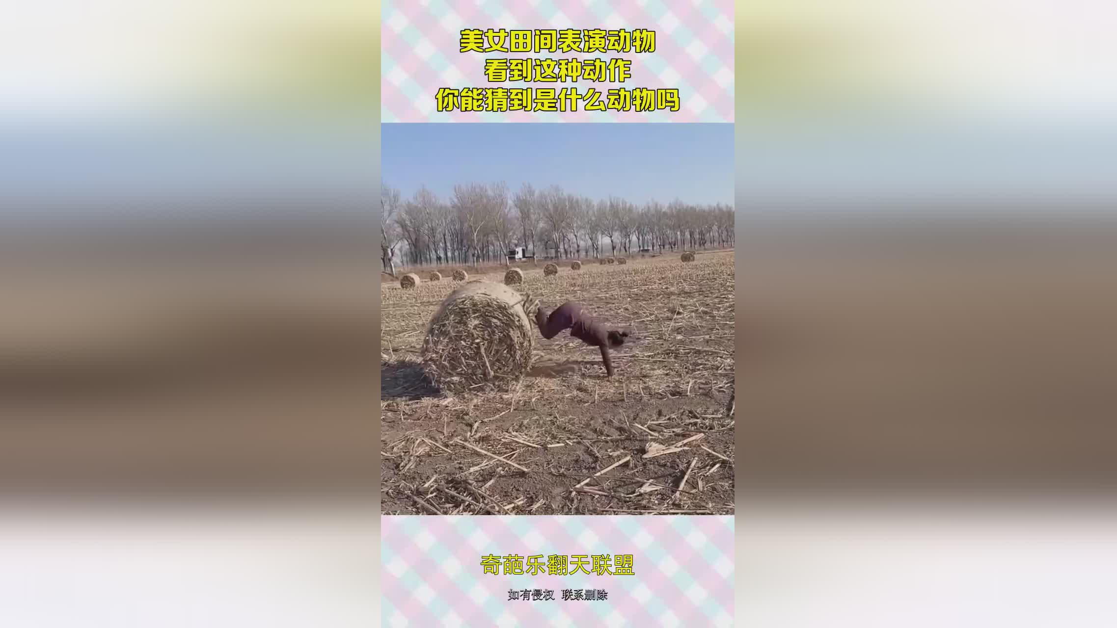 图