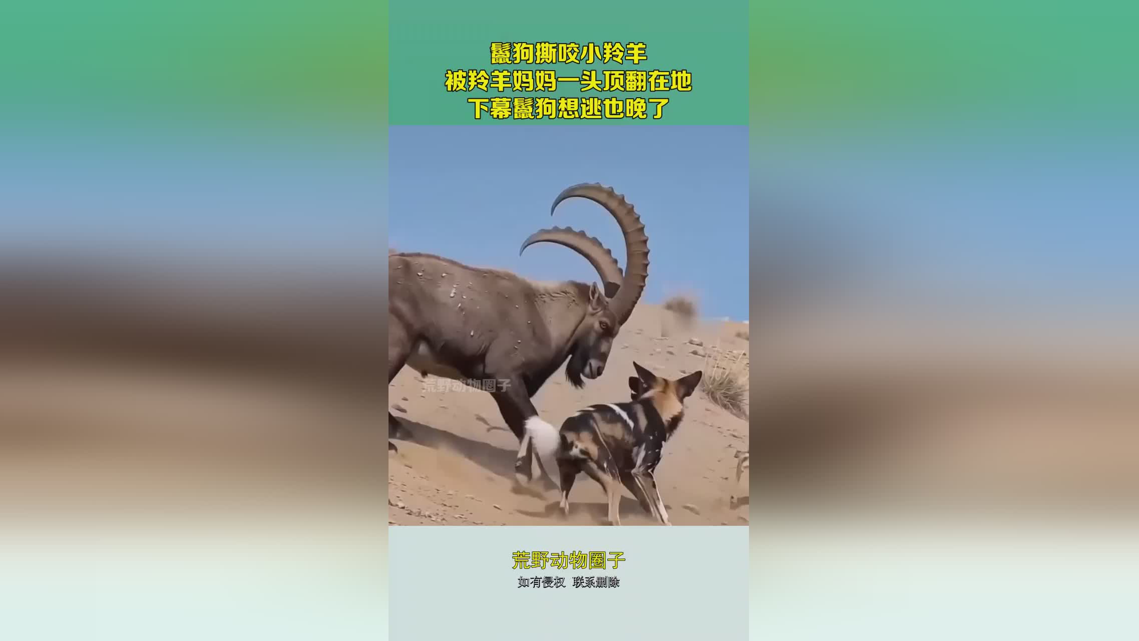 图