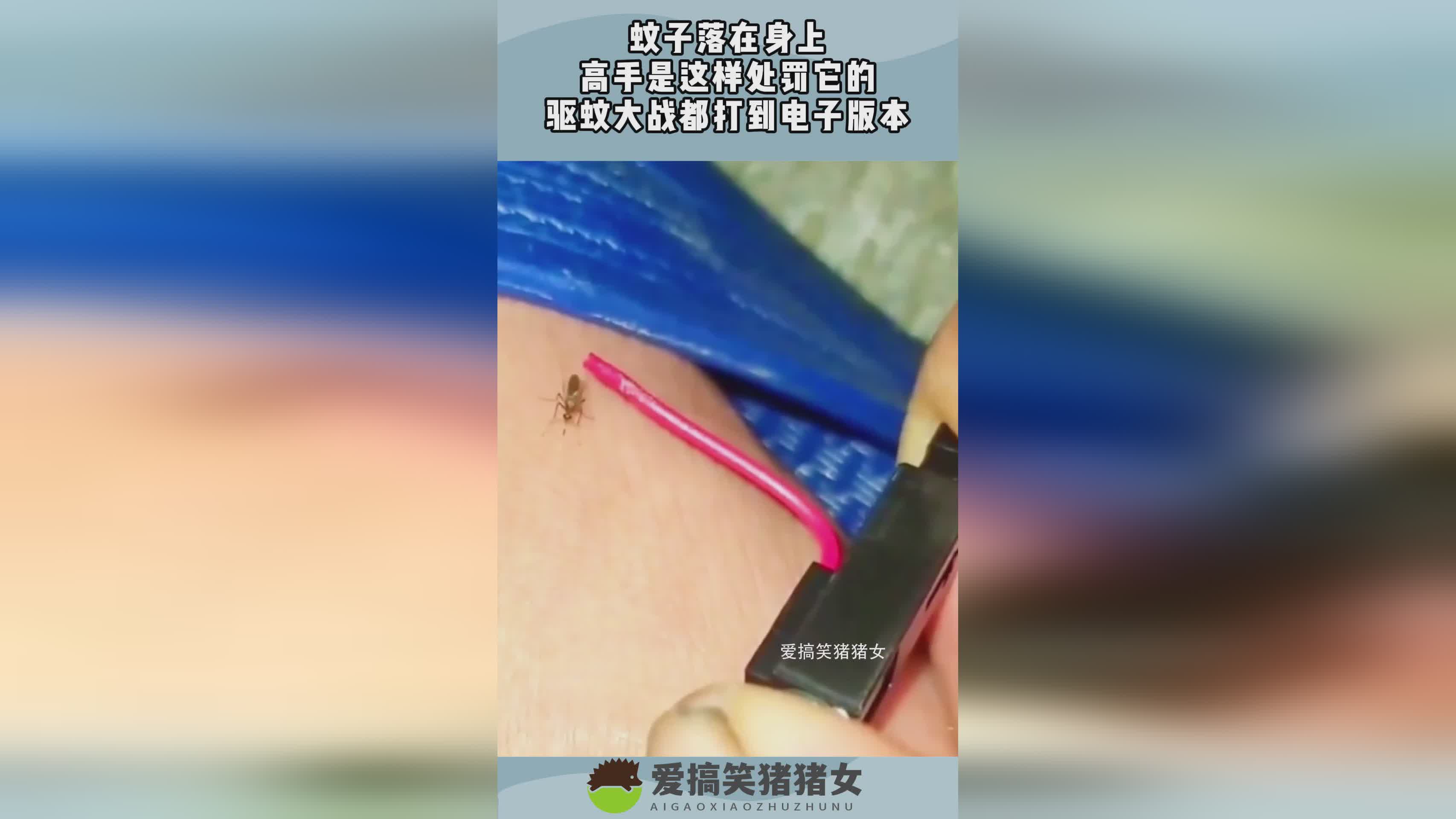 图