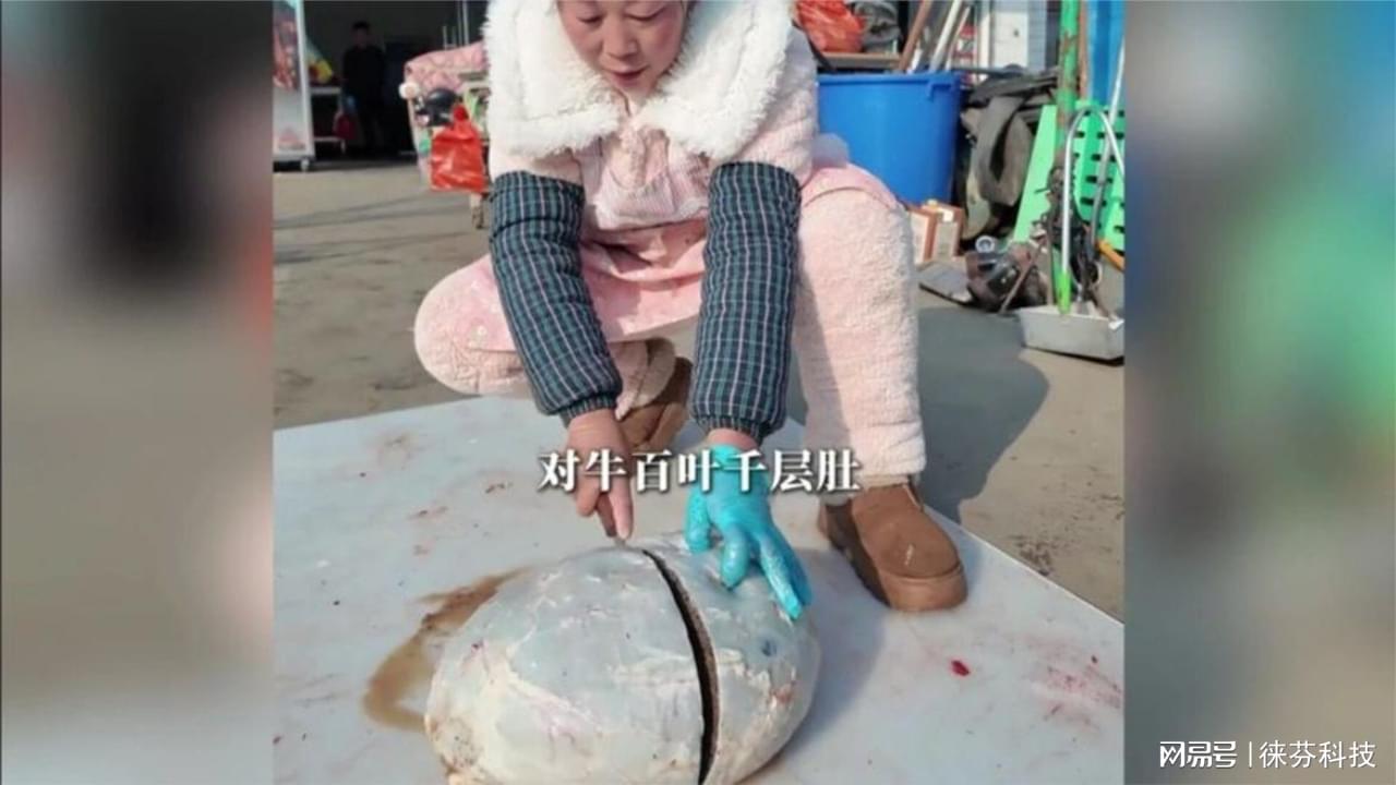 图