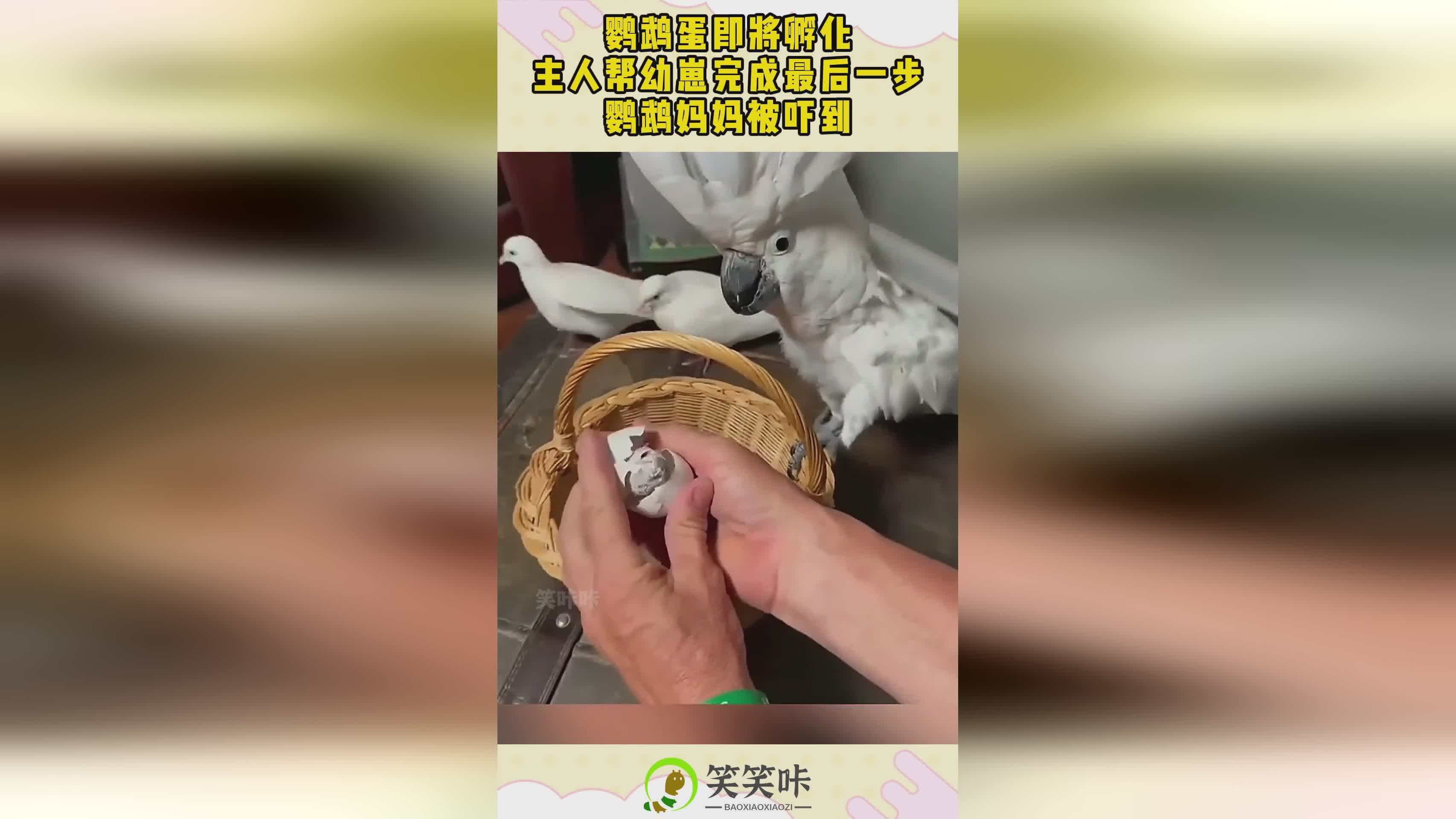 图