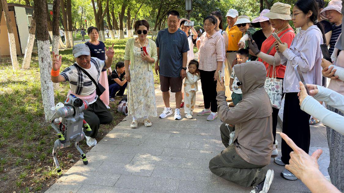 图
