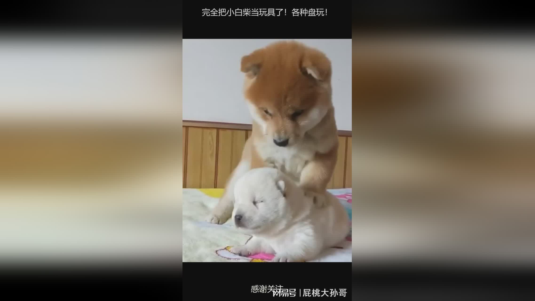 图