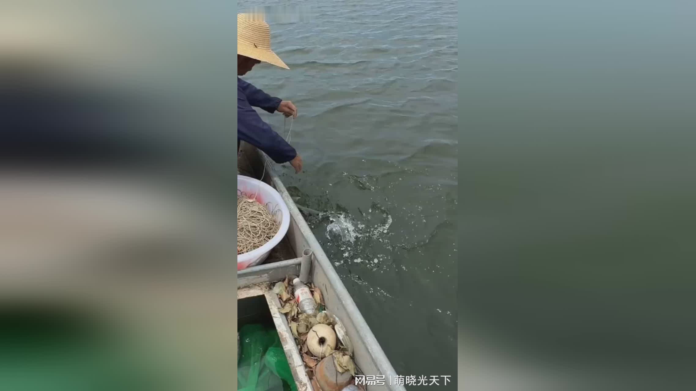 图