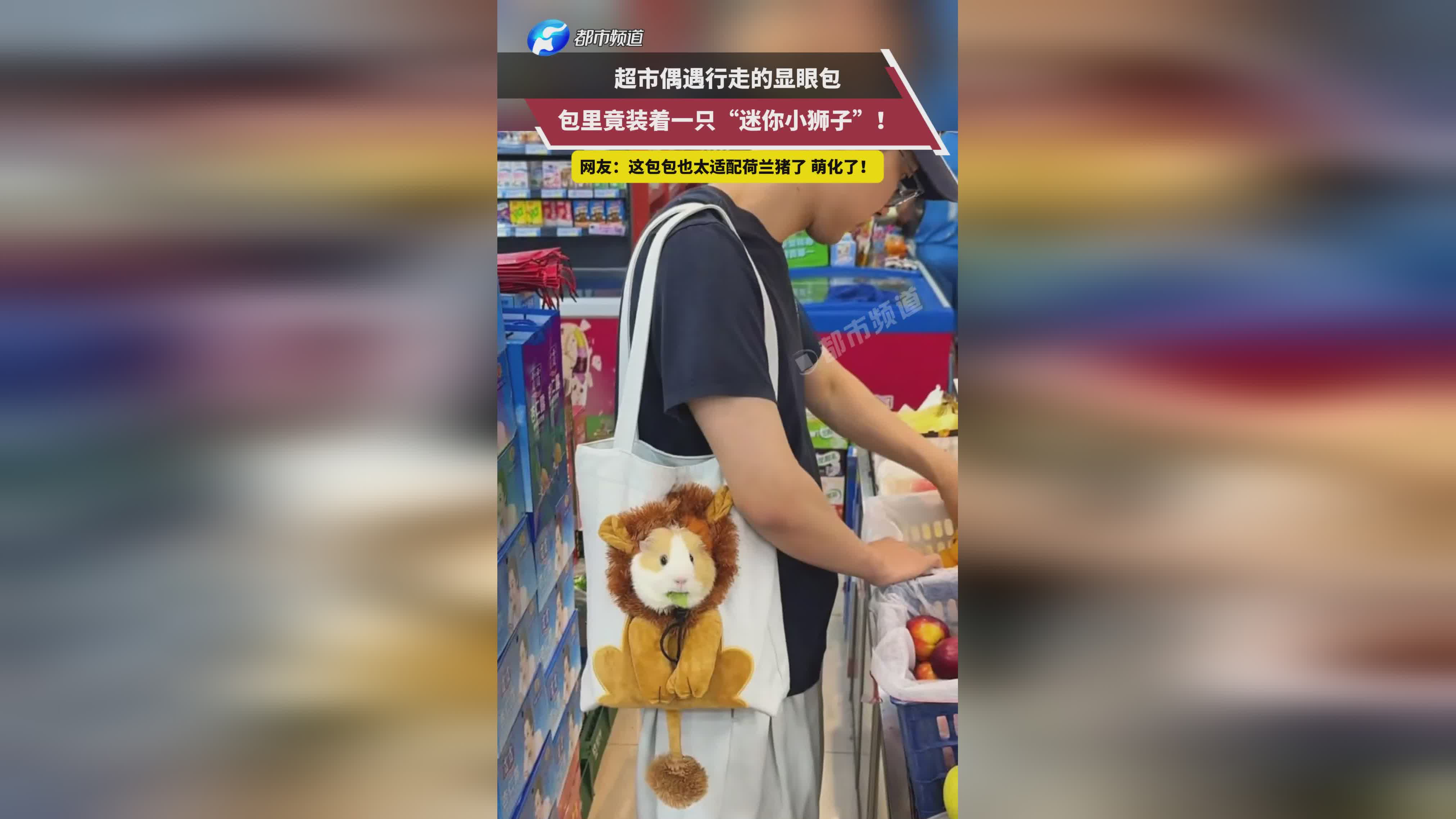 图