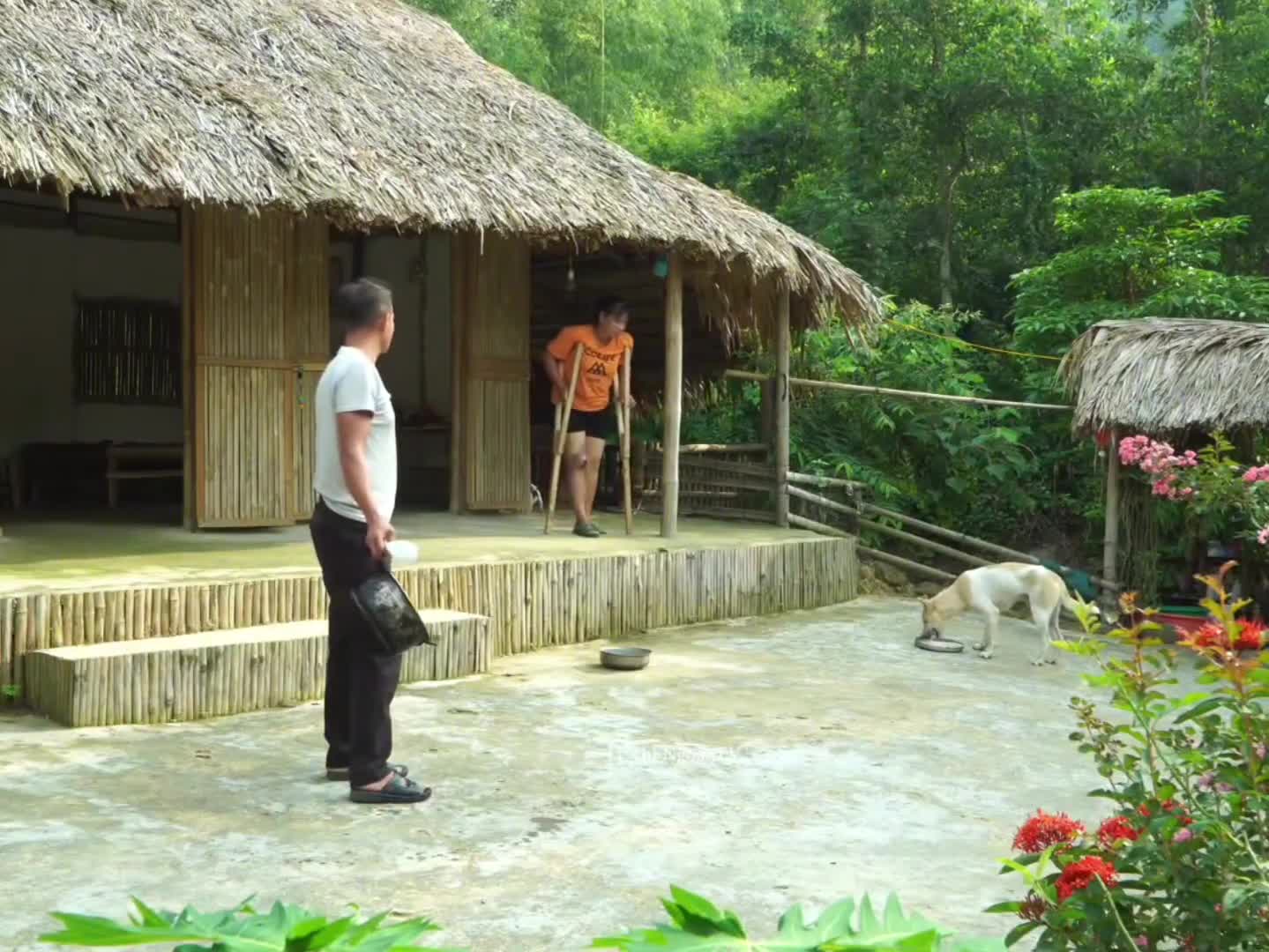 图