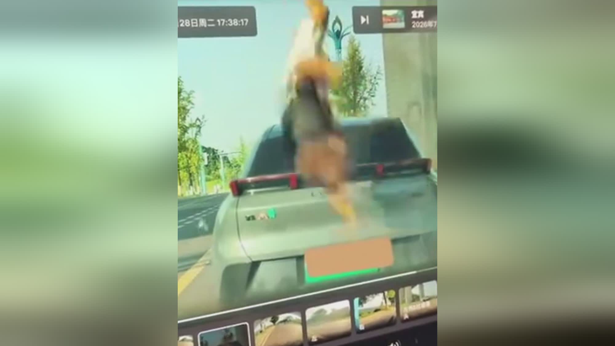 图