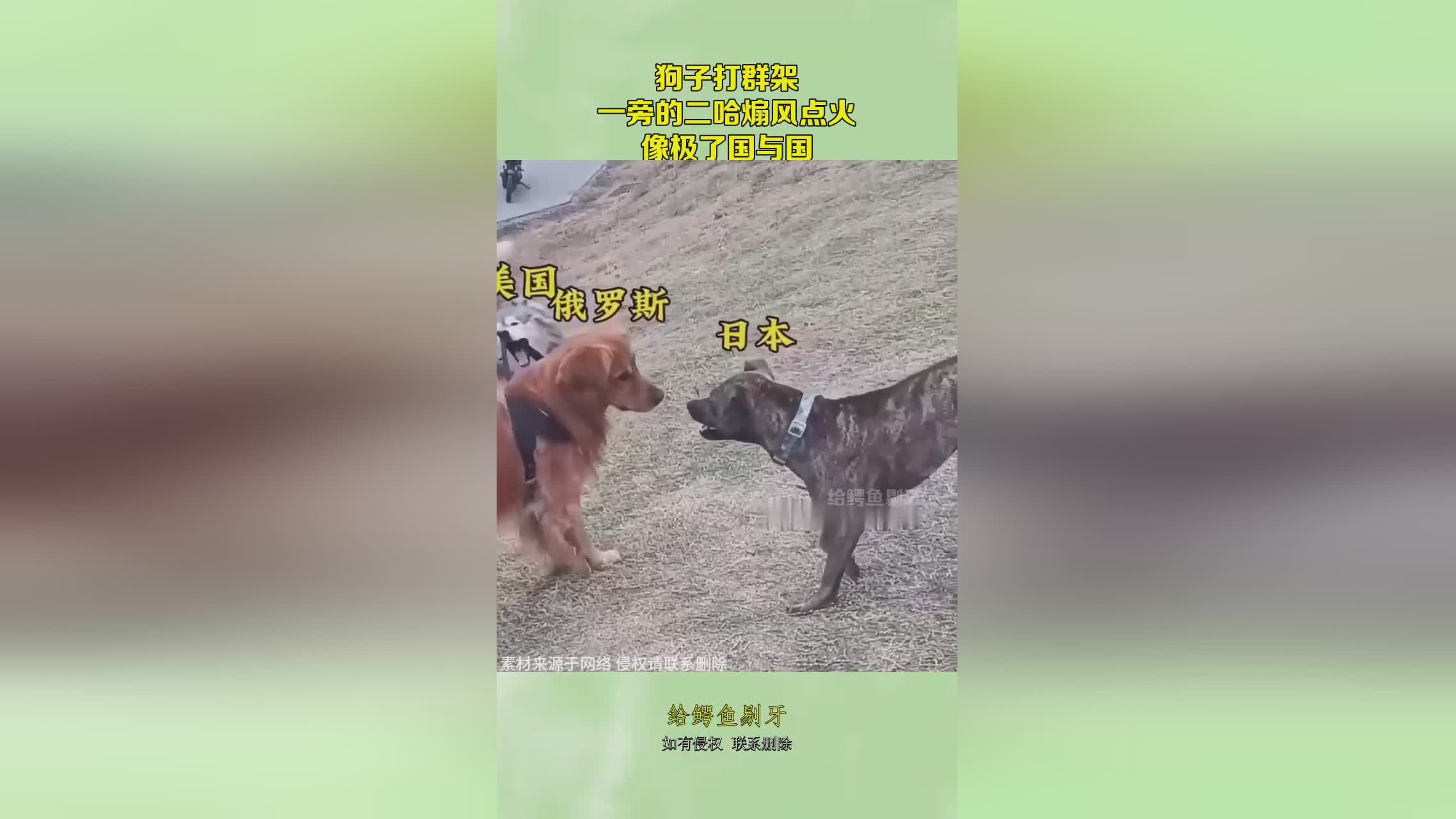 图