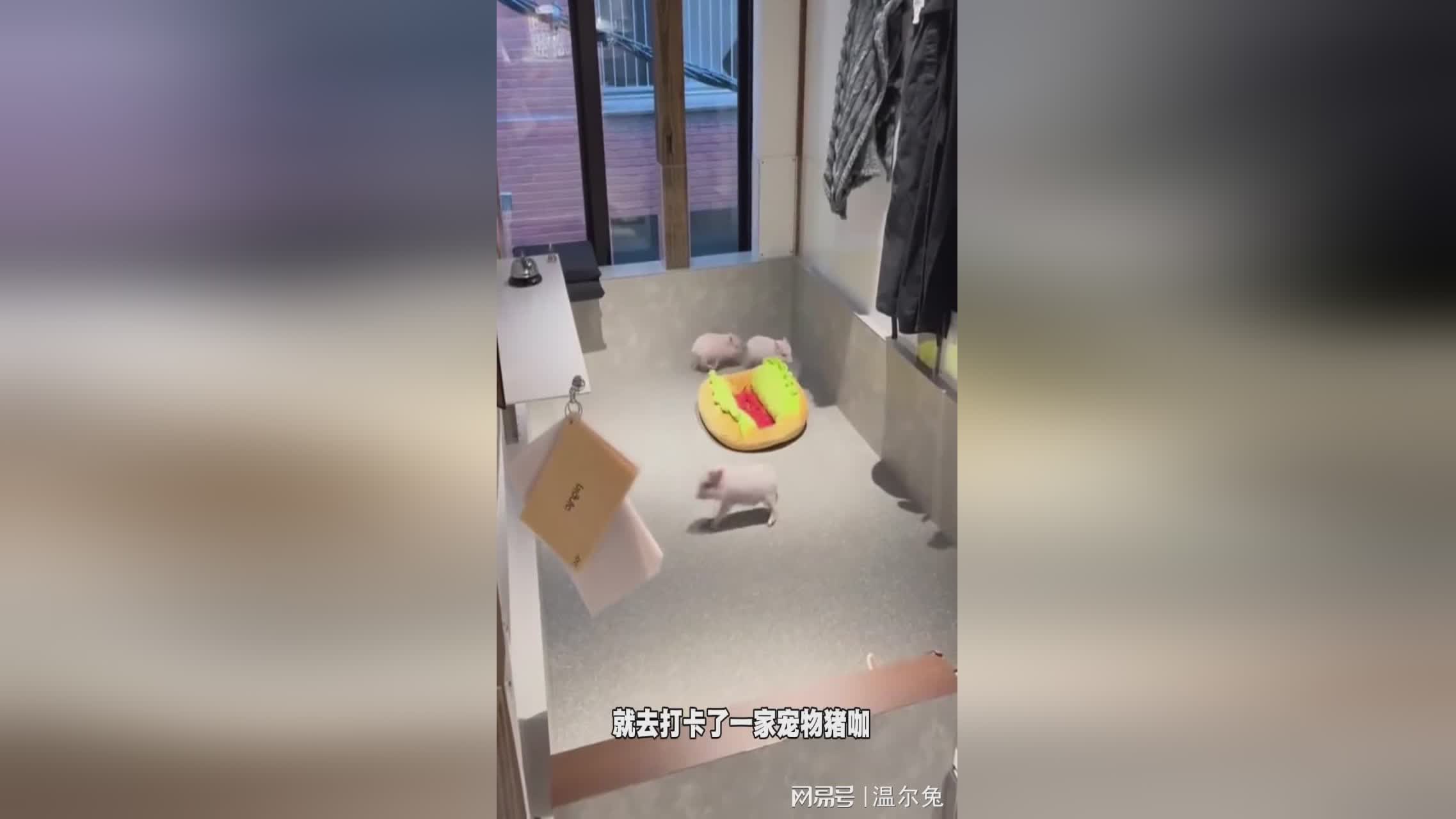 图