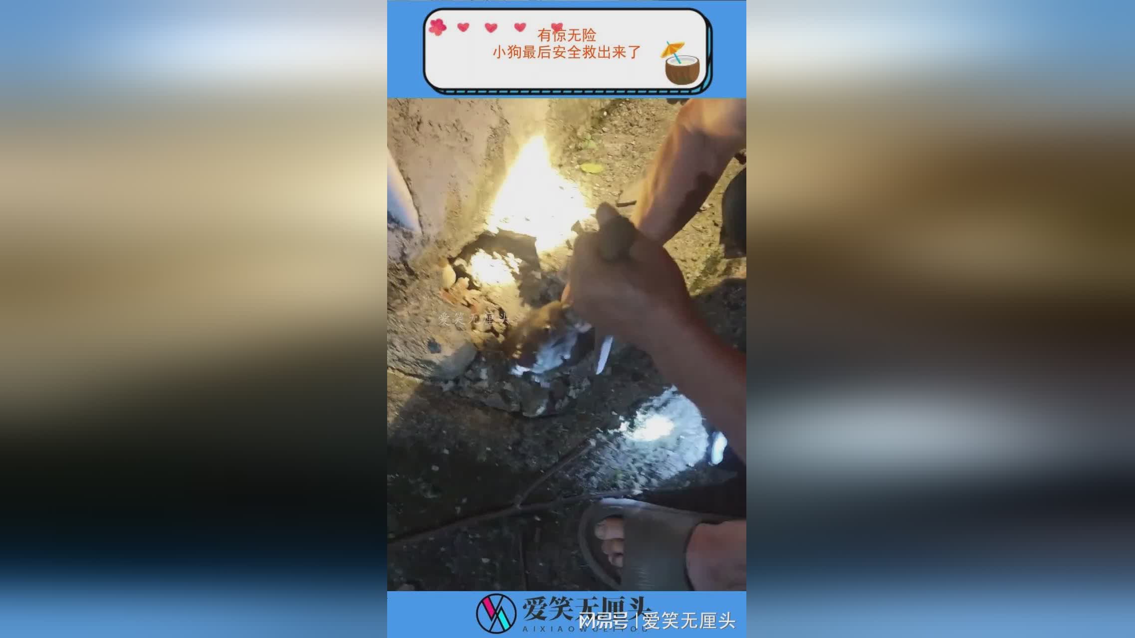 图