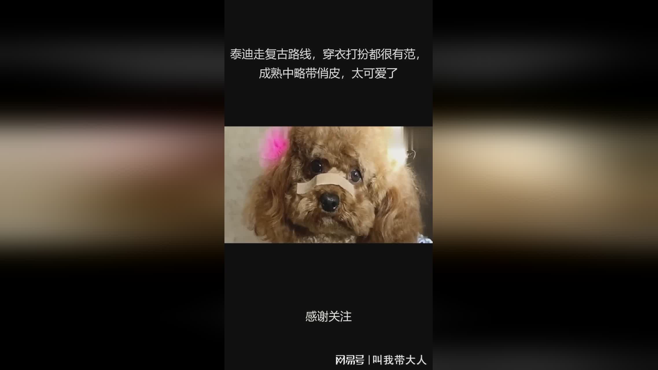 图