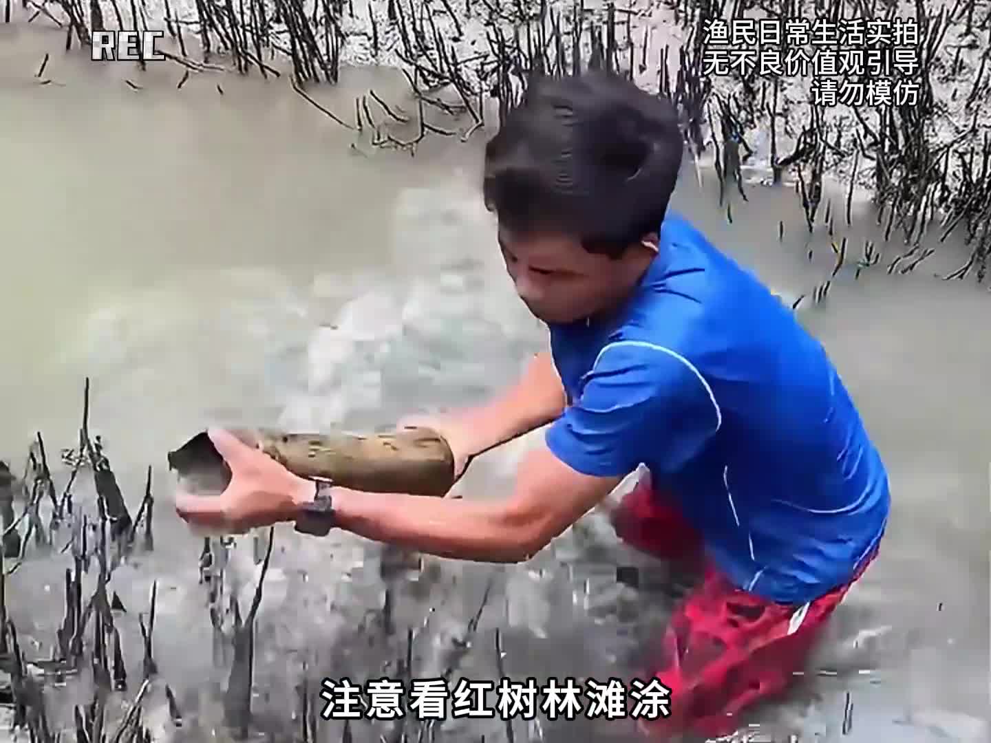 图