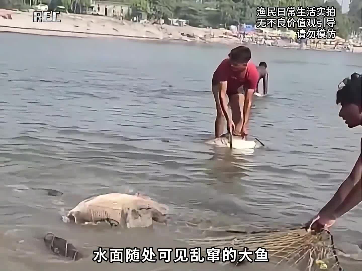 图