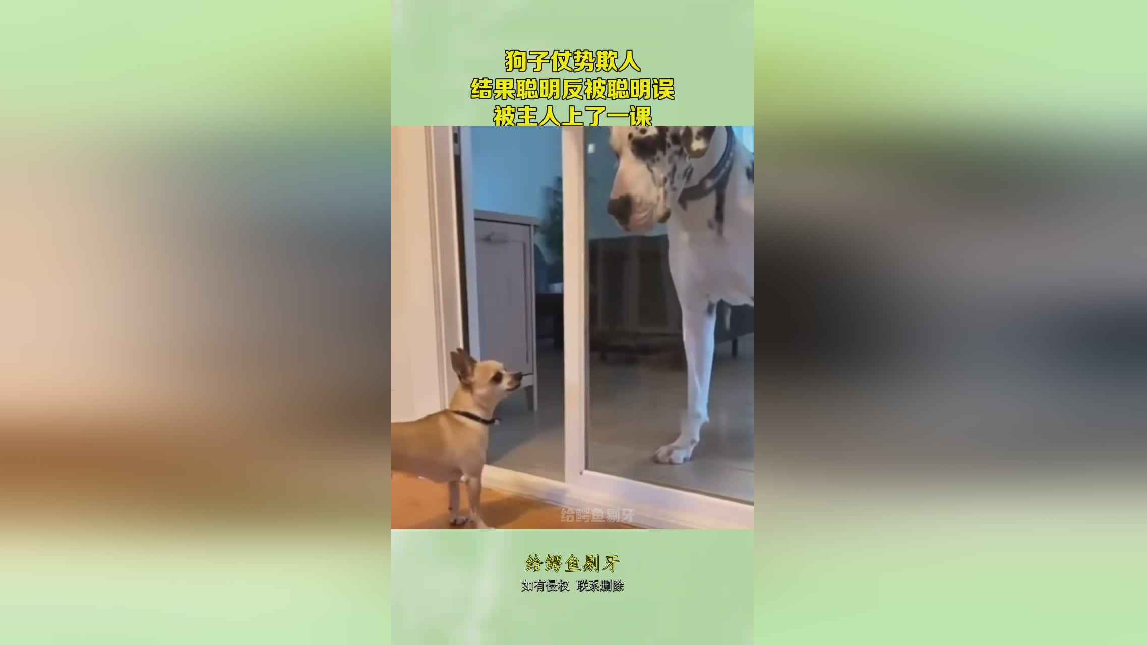 图
