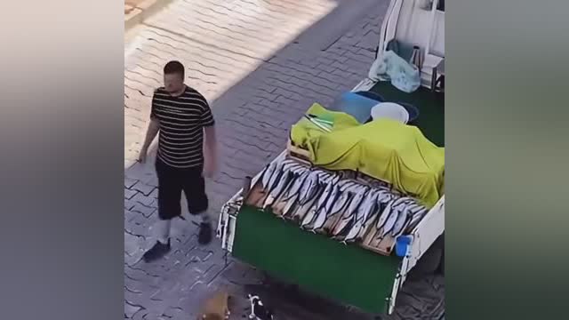 图
