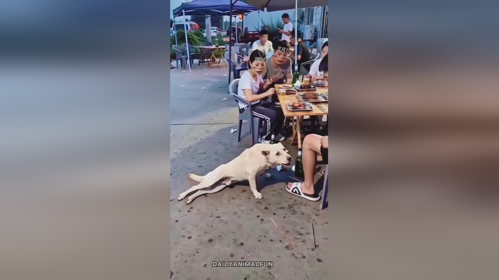 图