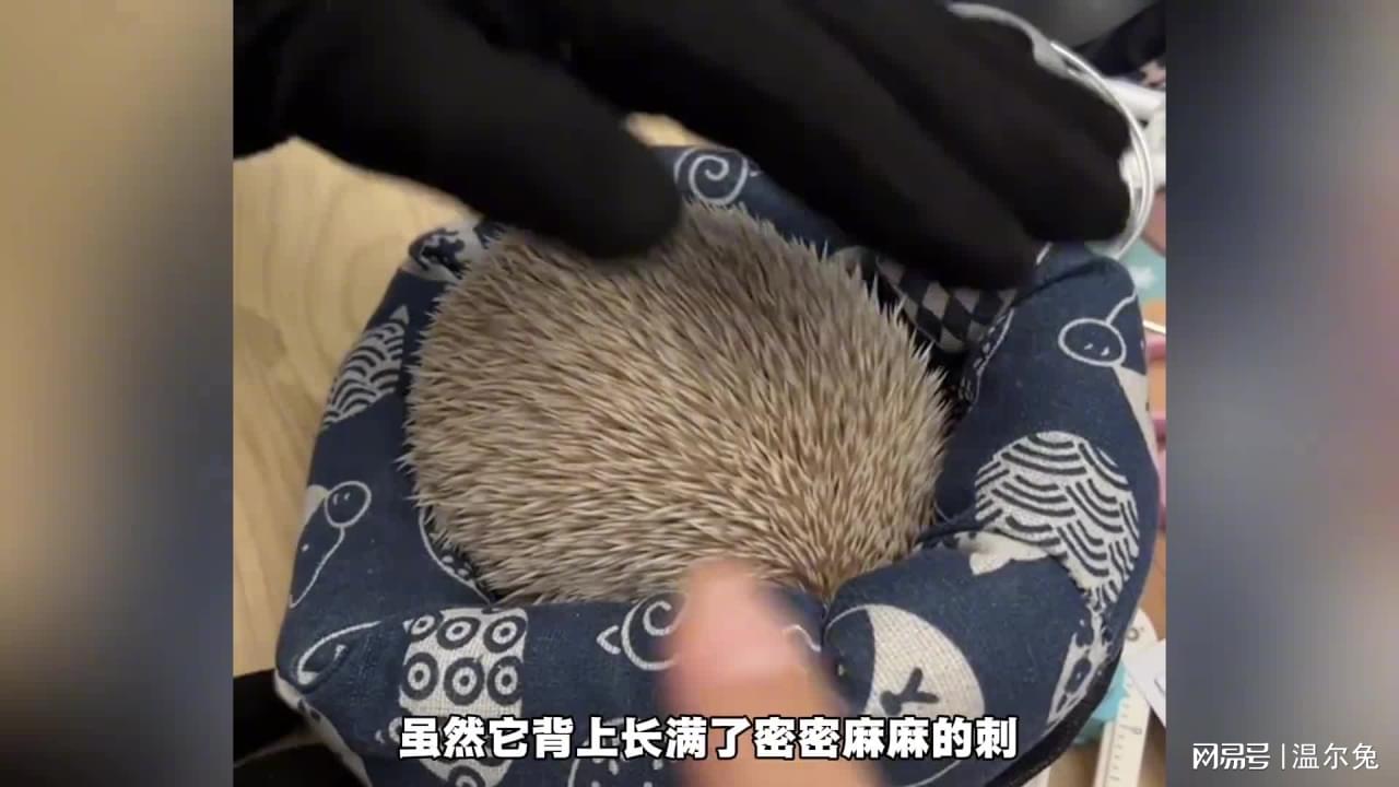 图