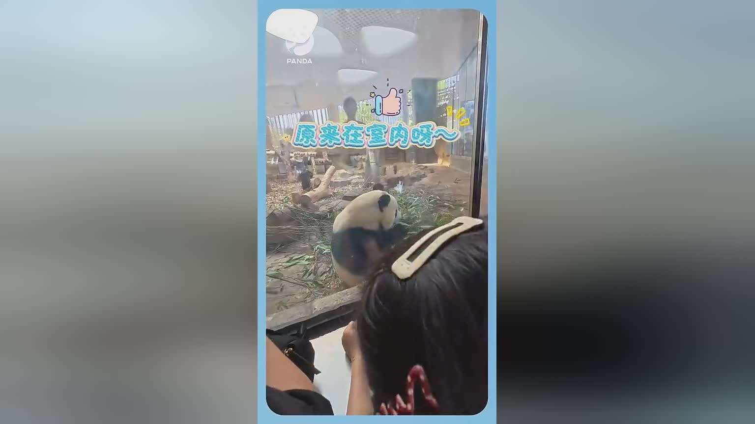 图