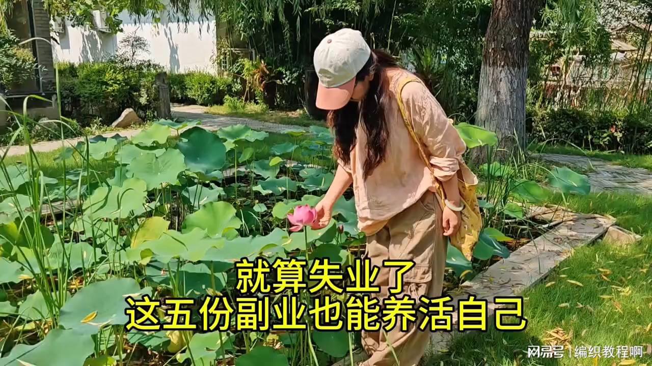 图