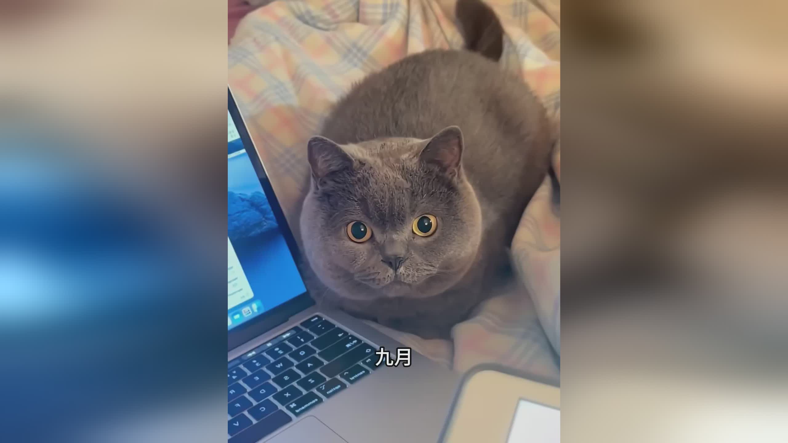 图
