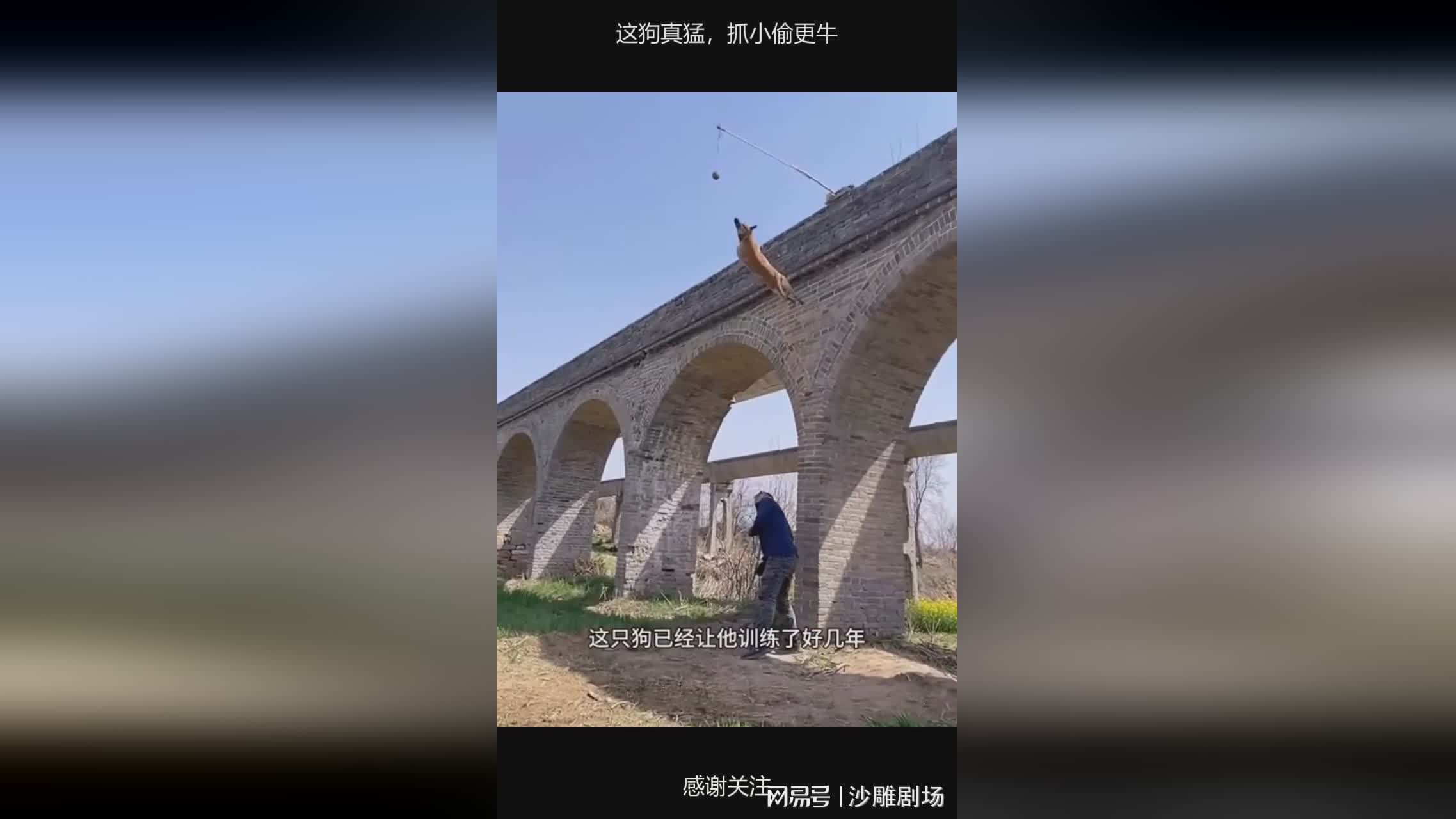 图
