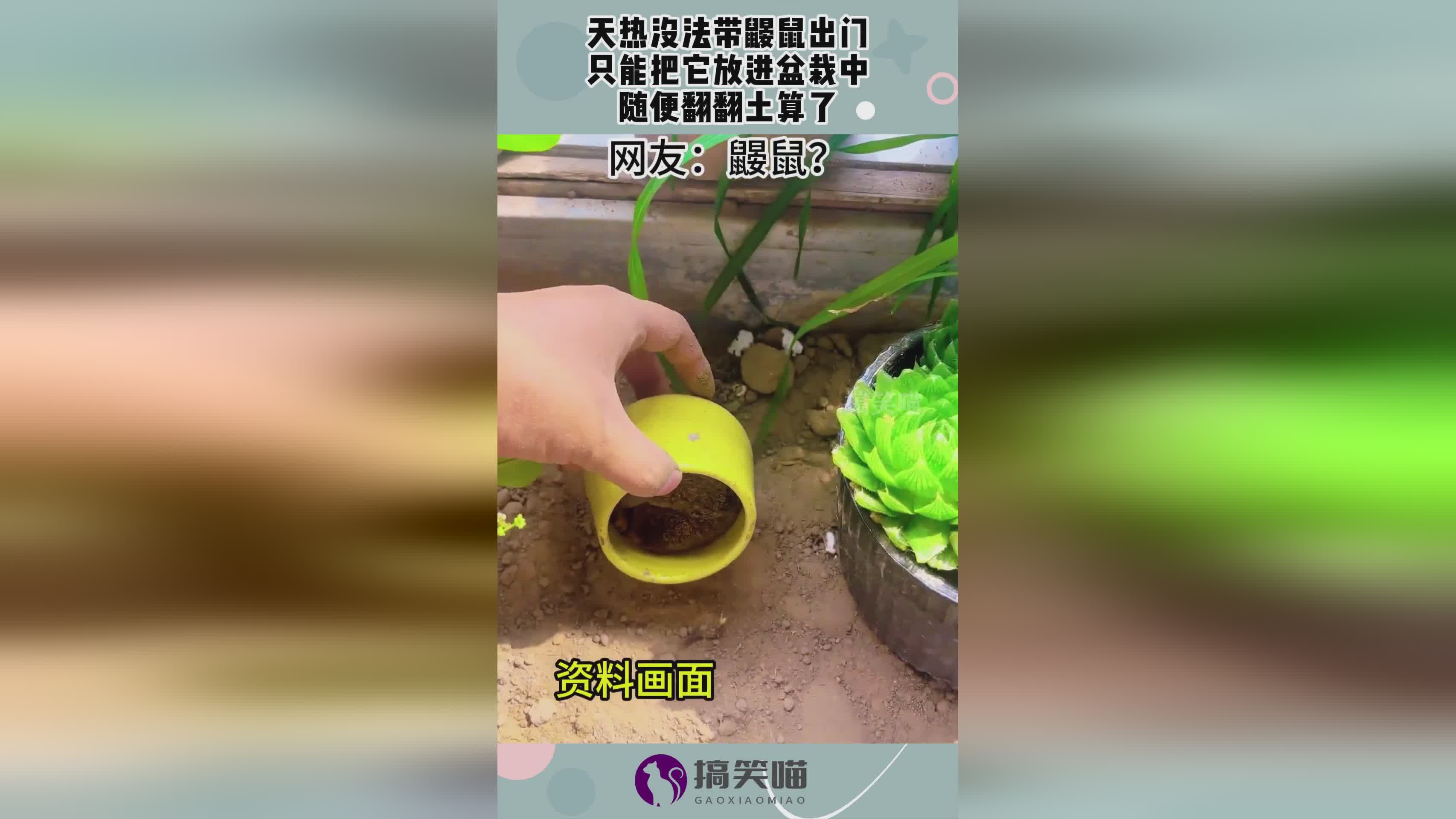 图