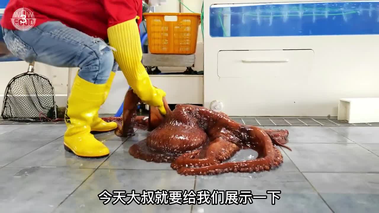 图