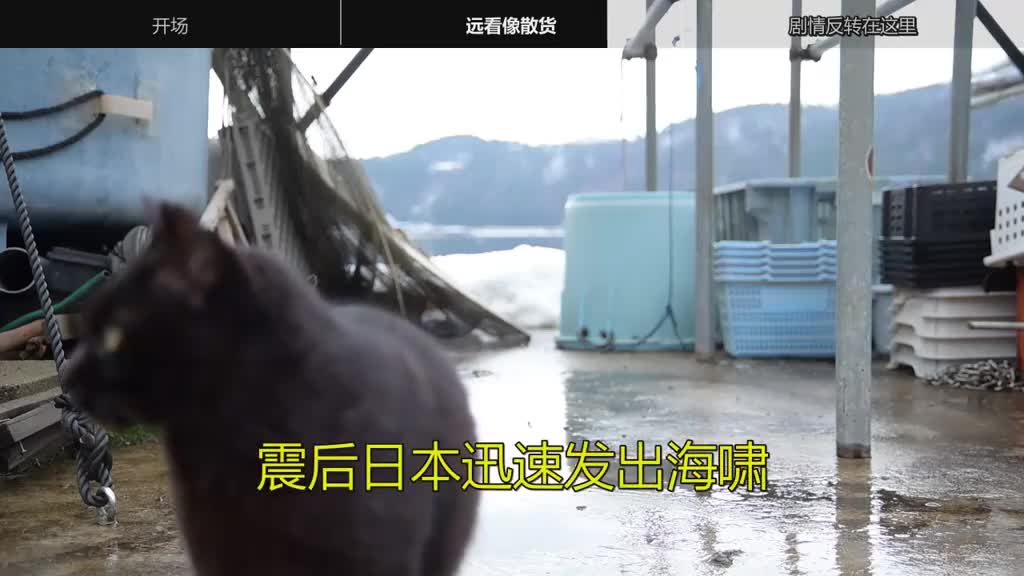 图