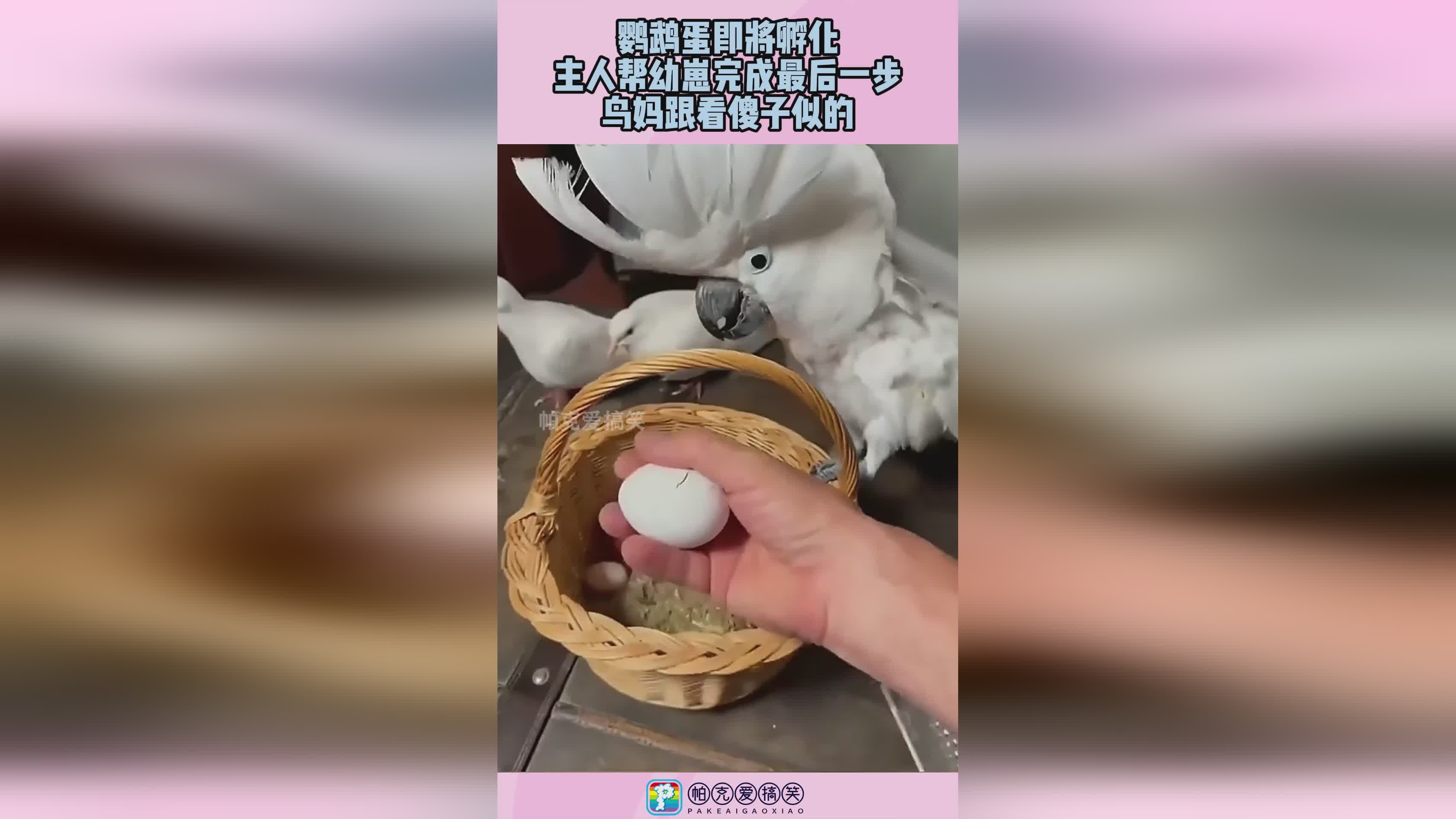 图
