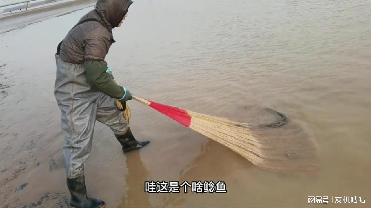 图