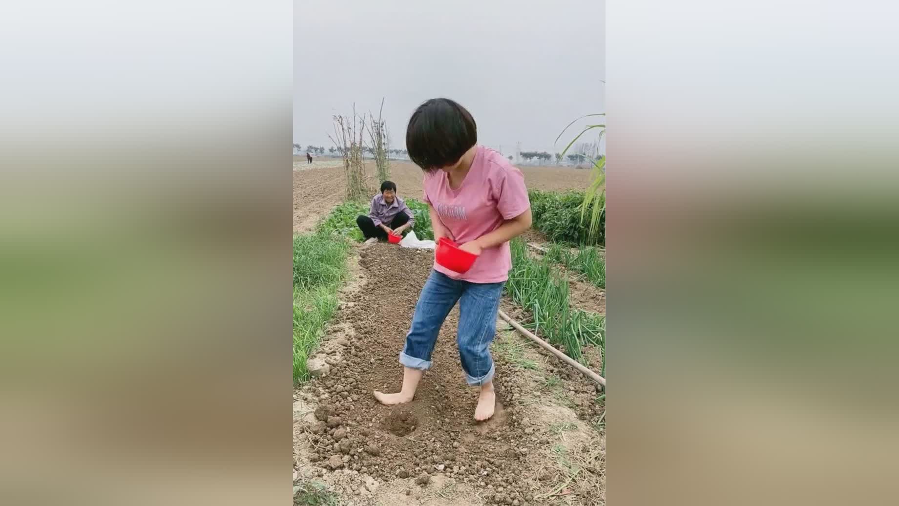 图