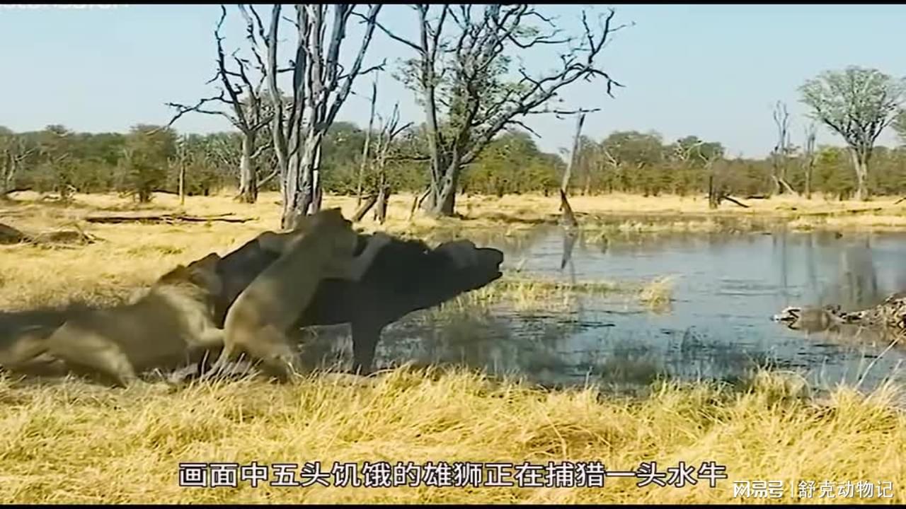 图