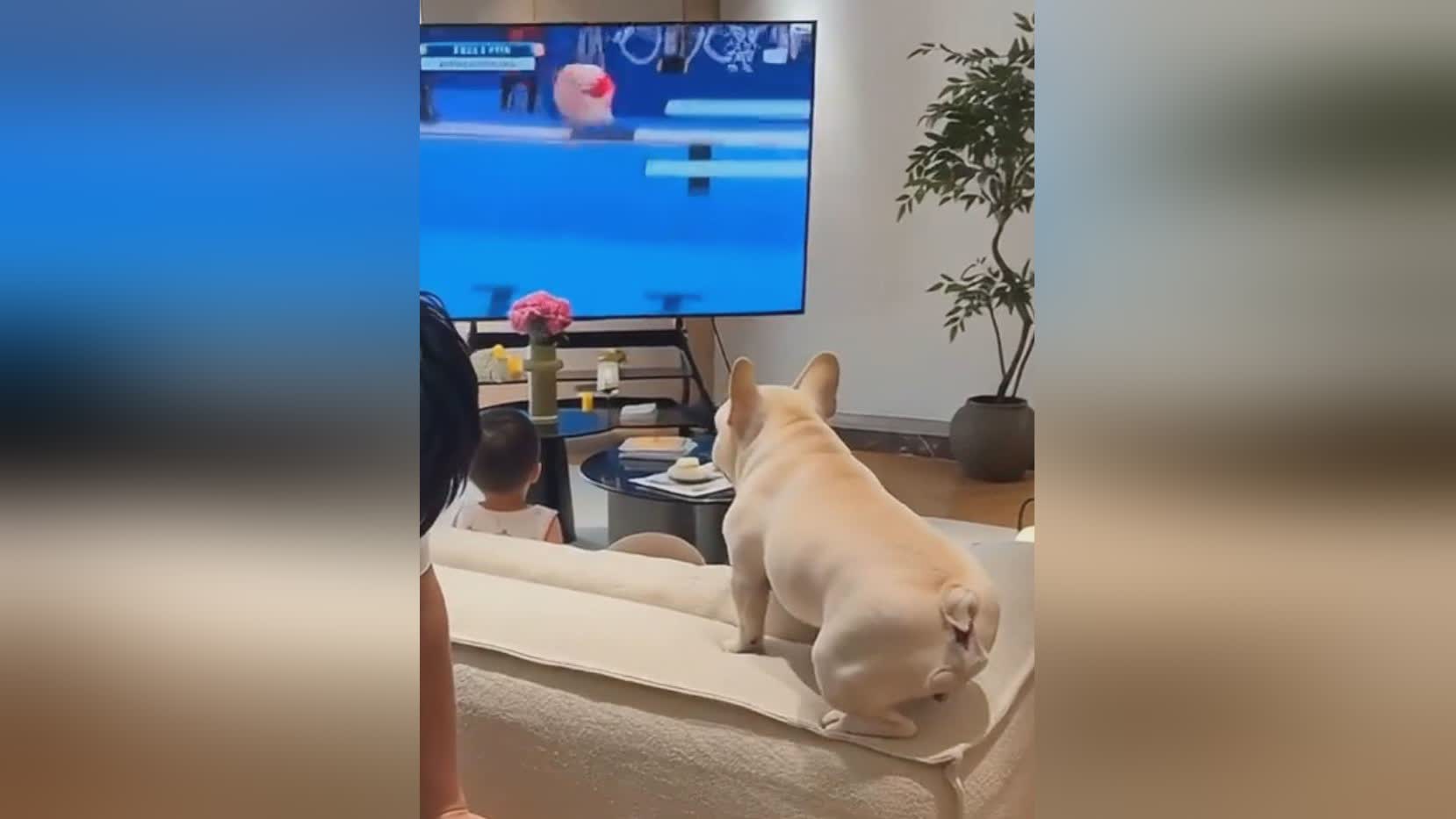 图