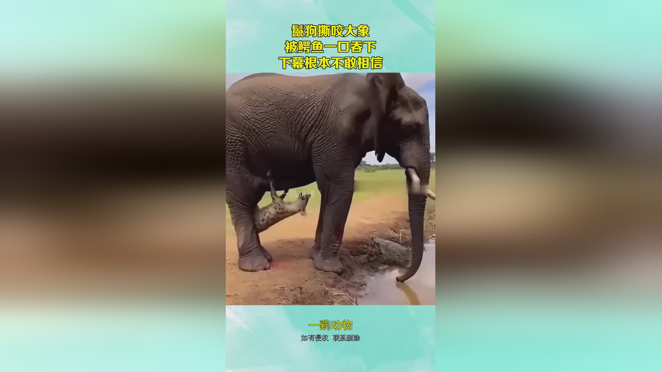 图