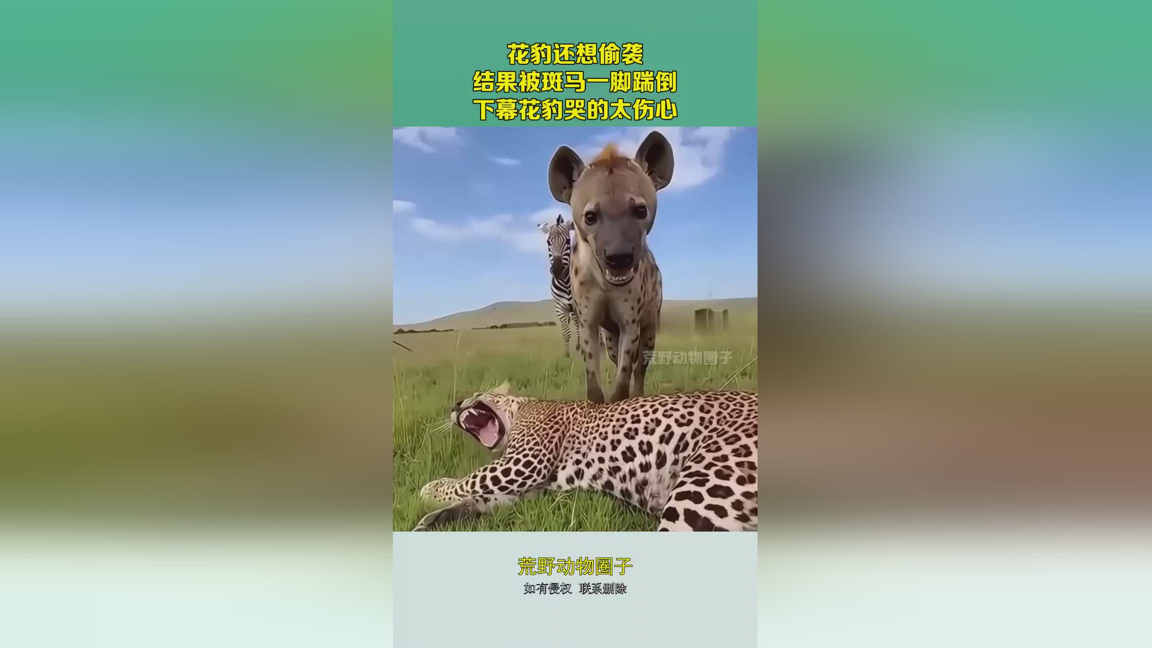 图