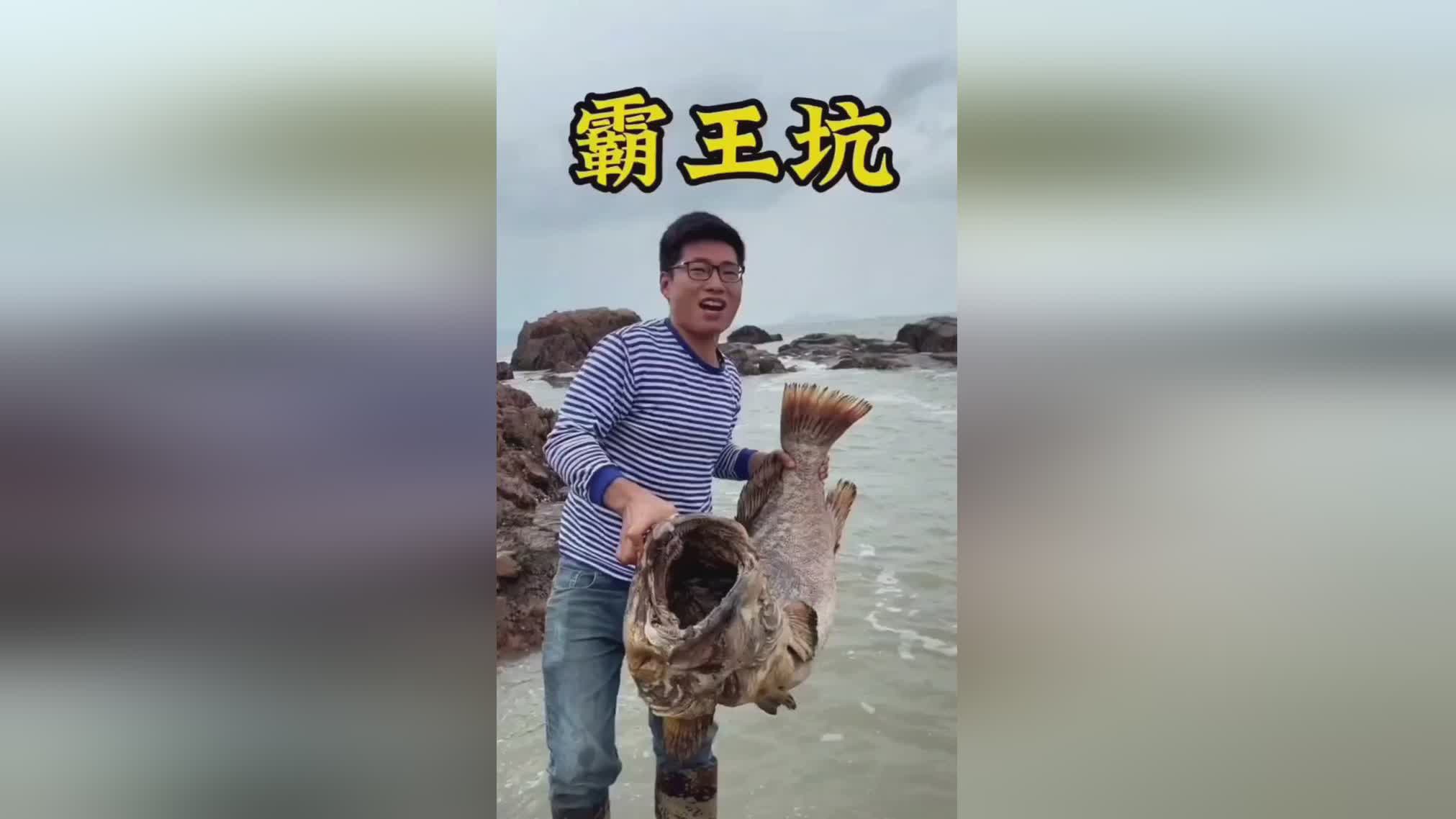 图