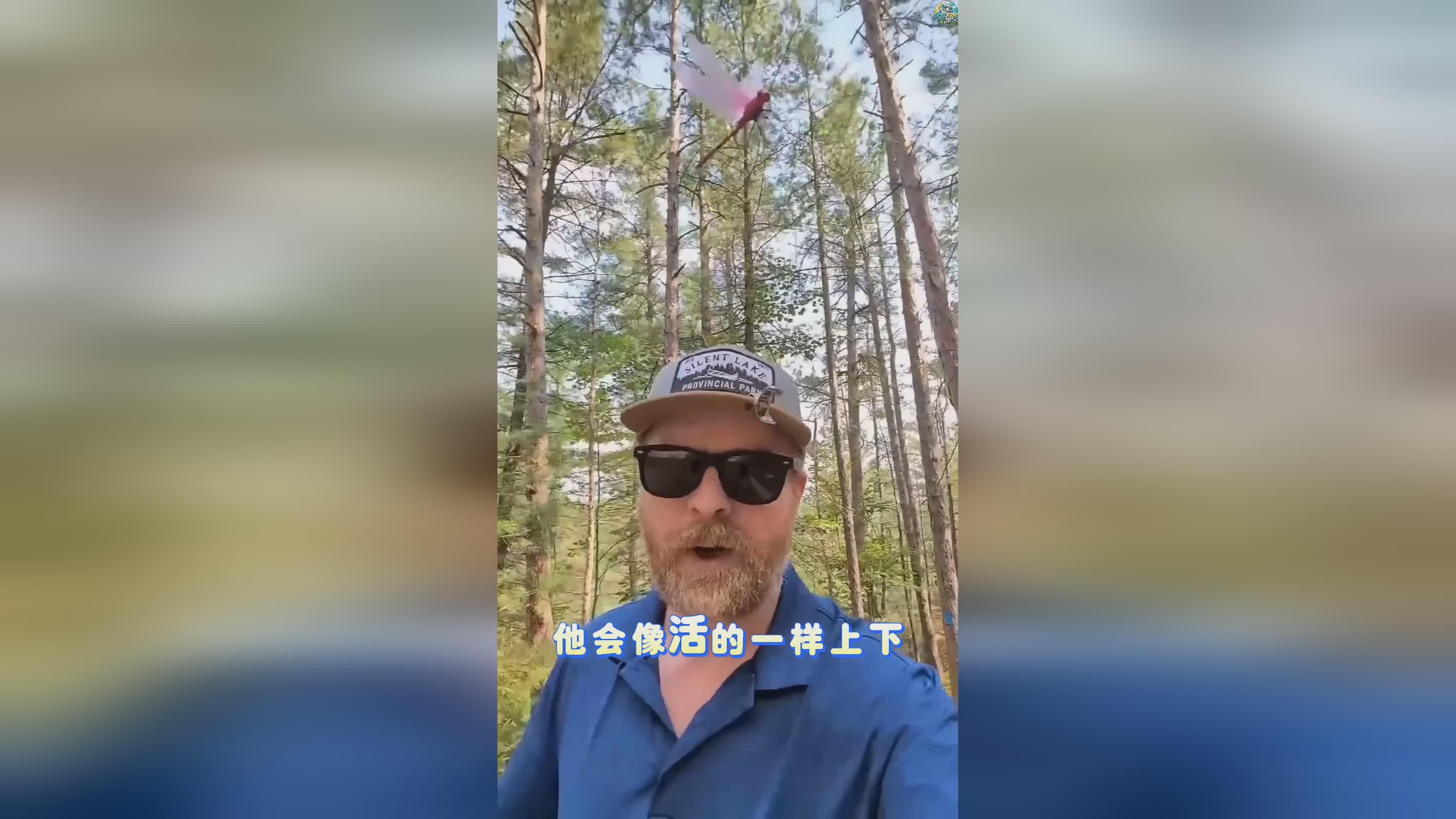 图