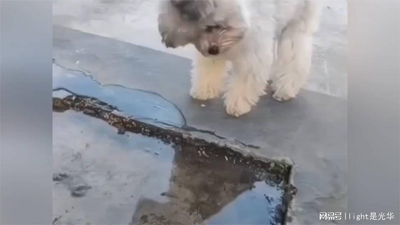 图