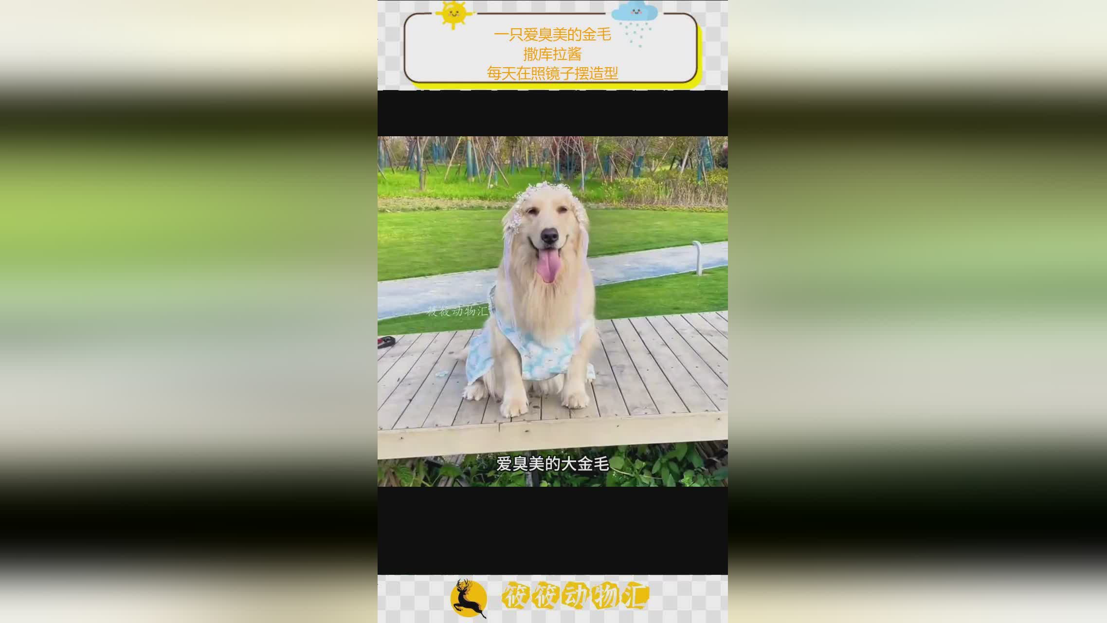 图