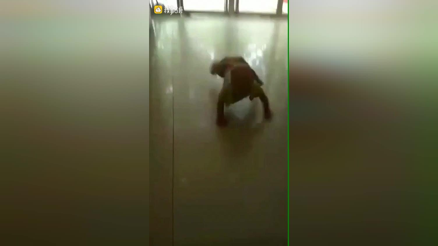 图