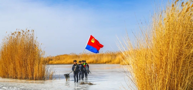 图