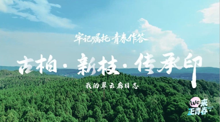 图