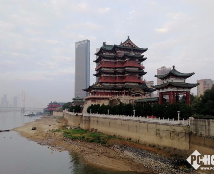 图