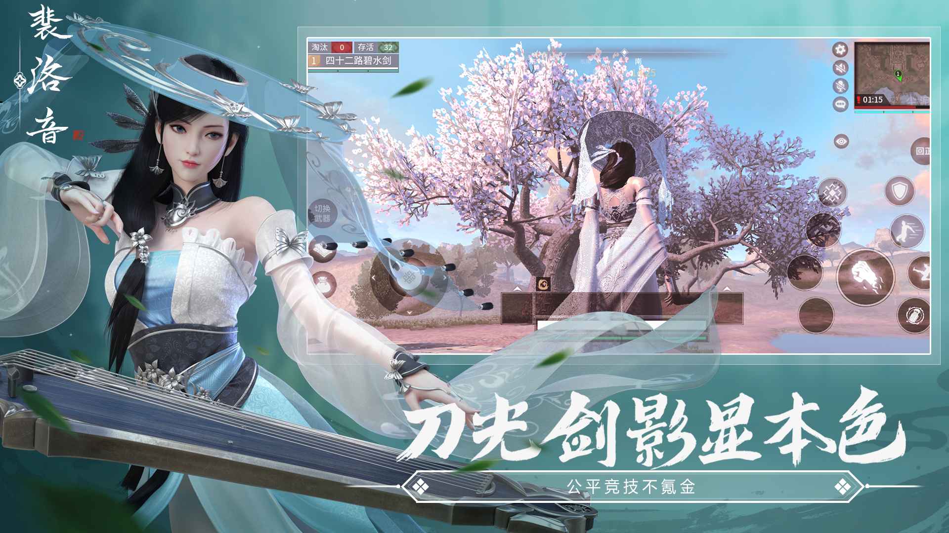 图