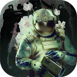 图