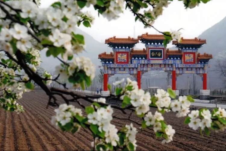 图