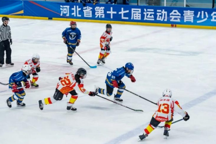 图
