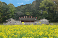图